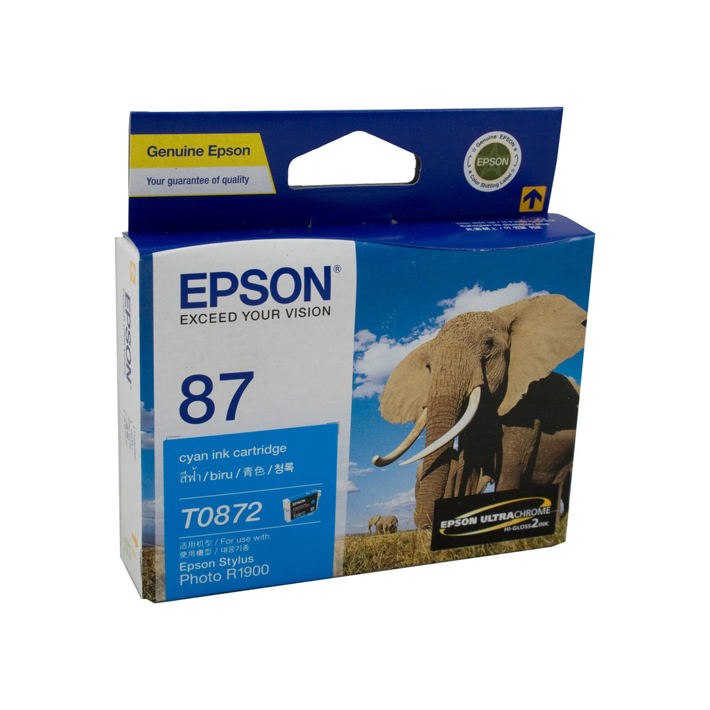 Epson C13T087290 Cyan Ink Cartridge
